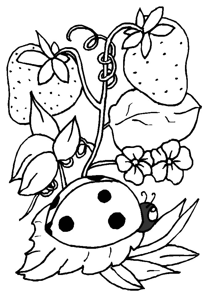 coloriage coccinelle dans les fraises